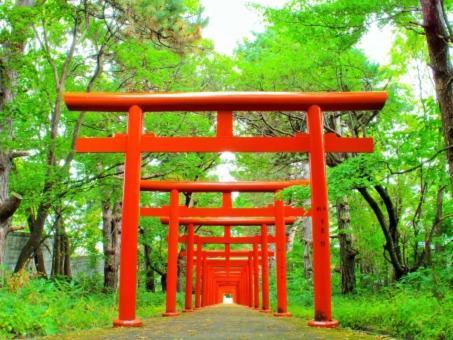 Kyonoya Fushimi Inari Villa Kyoto Dış mekan fotoğraf